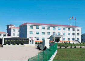 ��(n��i)�ɹ�ꐰ͠�